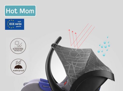 0–13 kg Hot Mom Siège Auto Groupe 0 ,Gris